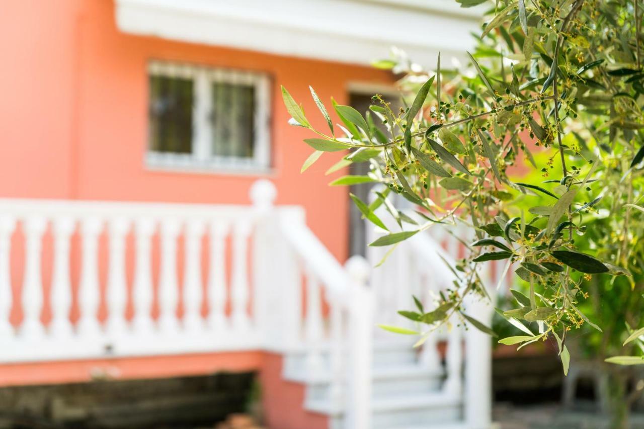 アリケス2 Bed House With Mountain Viewアパートメント エクステリア 写真